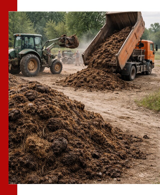 Доставка навоза самосвалами в Краснотурьинске для сельхозпотребностей
